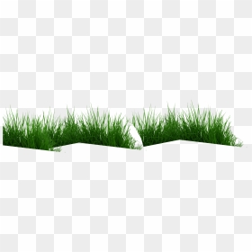 Cow Eating Grass Png , Png Download - Hierochloe, Transparent Png - grass png hd