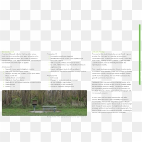 Grass , Png Download - Grass, Transparent Png - grass png hd