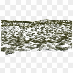 Grass B Flat 3 - Snow On Grass Png, Transparent Png - grass png hd