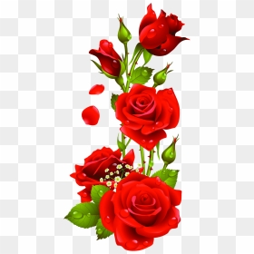 Rose Flower Images Download, HD Png Download - flowers png hd