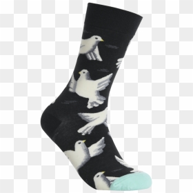 Sock, HD Png Download - white pigeon png