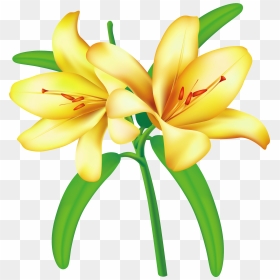 Lily Clipart Yellow - Flower Yellow Vector Border Png, Transparent Png - cliparts png