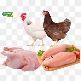 Hero Image - Fresh Chicken Breast Png, Transparent Png - broiler chicken png