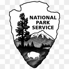 Photography Logo Vector - National Park Services Logo, HD Png Download - photography vector png