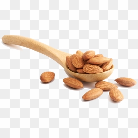 Almond Vector Big - Almond Nuts Photography, HD Png Download - badam png