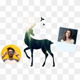 Picmaker Youtube Banner Template - Donner Reindeer Silhouette, HD Png Download - youtube banner template png