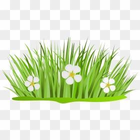 Clipart Grass Animated - Clipart Grass And Flowers, HD Png Download - grass png hd