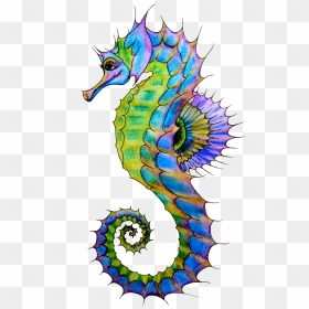 Download Seahorse Png Hd - Seahorse Png, Transparent Png - seahorse png
