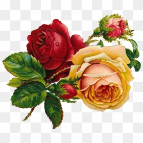 Vintage Rose Clip Art, HD Png Download - flowers png hd