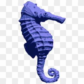 Blue Seahorse - Seahorse Png Blue, Transparent Png - seahorse png