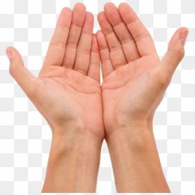 Open Hand Png - Open Hands Png, Transparent Png - open hand png