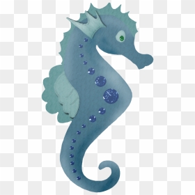 Safari‿✿⁀•○ Beach Clipart, Water - Clip Art, HD Png Download - seahorse png