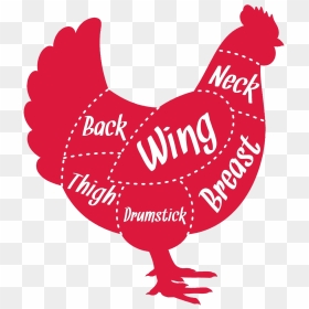Chick Total - Rooster, HD Png Download - broiler chicken png