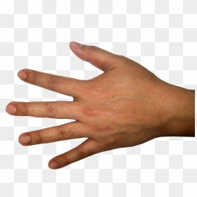 Hands Png Free Images - Back Of Hand Transparent Background, Png Download - open hand png