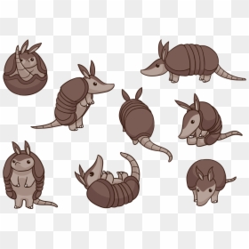 Cartoon Armadillo Rolled Up, HD Png Download - food vector png