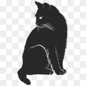 Cat Shadow, HD Png Download - black shadow png