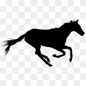 Horse Shadow Running, HD Png Download - black shadow png