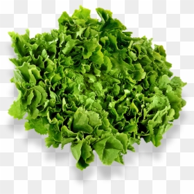 Grass, HD Png Download - black shadow png
