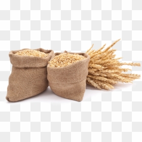 Barley Grains Bag Png, Transparent Png - grains png