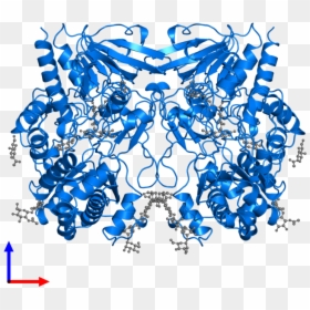Glucose Oxydase Structure, HD Png Download - glucose png