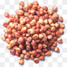 Date Palm, HD Png Download - grains png