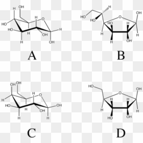 Isomerization Of Glucose To Fructose, HD Png Download - glucose png