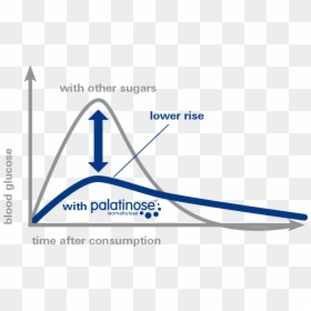 Palatinose Vs Sucrose, HD Png Download - glucose png