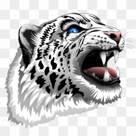 Snow Leopard Head Clipart, HD Png Download - snow vector png
