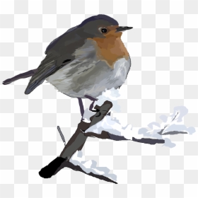 Robin Bird Transparent Background, HD Png Download - snow vector png