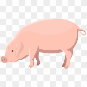 Pork Png, Transparent Png - pork png