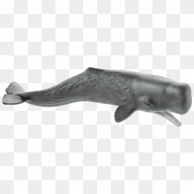 Schleich Sperm Whale, HD Png Download - sperm whale png