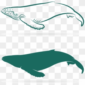 Clip Art, HD Png Download - sperm whale png