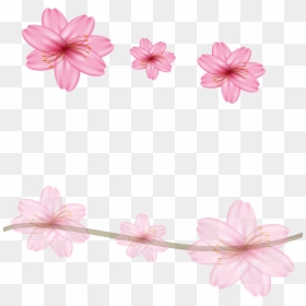 Cherry Blossom Flower Border Designs, HD Png Download - cherry blossom emoji png