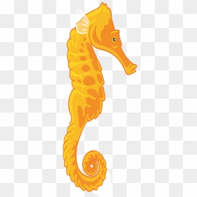 Cartoon Drawing At Getdrawings - Seahorse Clipart Transparent Background, HD Png Download - seahorse png
