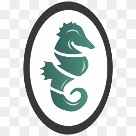 Northern Seahorse, HD Png Download - seahorse png