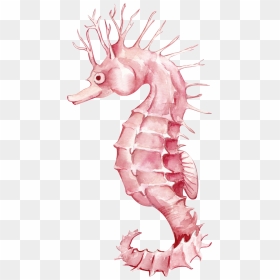 Watercolor Seahorse Cartoon Transparent - Cartoon, HD Png Download - seahorse png