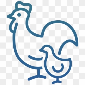 Icon Poultry & Egg Production - Icon Poultry, HD Png Download - broiler chicken png