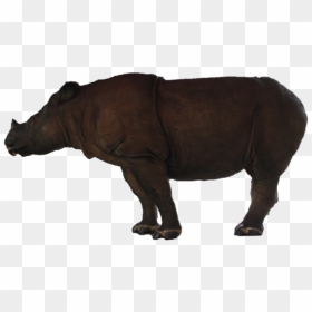 Rhino Free Png Image - Rhinoceros, Transparent Png - rhino png