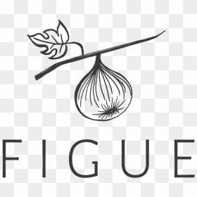 Figue Logo-01 - Line Art, HD Png Download - holiday png
