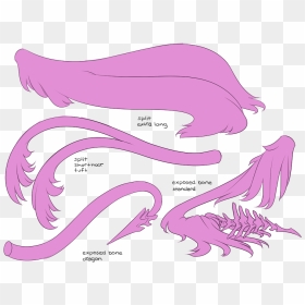 Transparent Demon Tail Png - Demon With Two Tails, Png Download - devil tail png