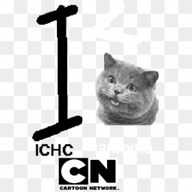 Ichc Channel Cartoon Network Logo - Cartoon Network Logo 2011, HD Png Download - cartoon network logo png