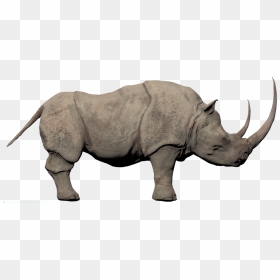 White Rhino Conan Exiles Clipart , Png Download - Conan Exiles White Rhino, Transparent Png - rhino png