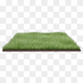 Grass Field Png Download Number - Paddy Field, Transparent Png - grass field png