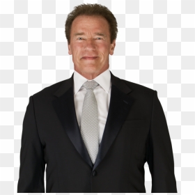 Arnold Schwarzenegger Png Hd - Schwarzenegger Png, Transparent Png - arnold schwarzenegger png