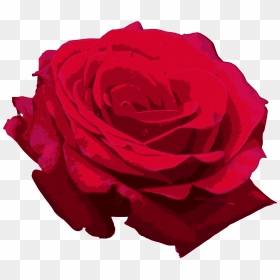 Red Roses Png - Red Watercolor Rose Png, Transparent Png - red roses png