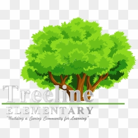 Treeline Elementary School - Trees Clipart, HD Png Download - treeline png