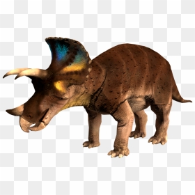 Triceratopsicon - Animal Figure, HD Png Download - triceratops png