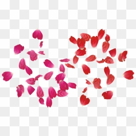 Rose Leaves, Png Tumblr, Adobe Photoshop - Falling Rose Leaf Png, Transparent Png - rose petal png