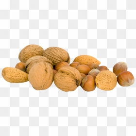 Nuts Png Transparent Image - Transparent Nut Png, Png Download - nuts png