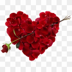 Heart Making With Rose Petal - Hearts For Valentine's Day, HD Png Download - rose petal png